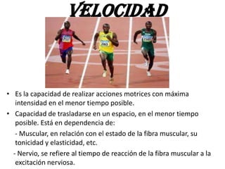 • Es la capacidad de realizar acciones motrices con máxima
intensidad en el menor tiempo posible.
• Capacidad de trasladarse en un espacio, en el menor tiempo
posible. Está en dependencia de:
- Muscular, en relación con el estado de la fibra muscular, su
tonicidad y elasticidad, etc.
- Nervio, se refiere al tiempo de reacción de la fibra muscular a la
excitación nerviosa.
VELOCIDAD
 