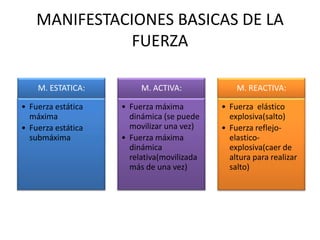 MANIFESTACIONES BASICAS DE LA
FUERZA
M. ESTATICA:
• Fuerza estática
máxima
• Fuerza estática
submáxima
M. ACTIVA:
• Fuerza máxima
dinámica (se puede
movilizar una vez)
• Fuerza máxima
dinámica
relativa(movilizada
más de una vez)
M. REACTIVA:
• Fuerza elástico
explosiva(salto)
• Fuerza reflejo-
elastico-
explosiva(caer de
altura para realizar
salto)
 
