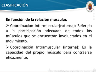 CLASIFICACIÓN 
En función de la relación muscular. 
 Coordinación Intermuscular(externa): Referida 
a la participación adecuada de todos los 
músculos que se encuentran involucrados en el 
movimiento. 
 Coordinación Intramuscular (interna): Es la 
capacidad del propio músculo para contraerse 
eficazmente. 
 