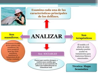 ANALIZAR
Examina cada una de las
características principales
de los delfines.
Son
mamíferos.
Son SOCIABLES
Son
terapéuticos
Pertenecen al orden
de los cetáceos, son
mamíferos y no
peces porque al
igual que otros
mamíferos
mantienen la
temperatura de su
cuerpo constante
El sonido y el
afecto de estos
animales pueden
ayudar en
tratamientos para
trastornos físicos y
emocionales .
Parece que sonríen siempre, y
emiten unos sonidos que
provocan el acercamiento de
niños que habitualmente se
comunican mal.
Técnica: Mapa
Semántico
 