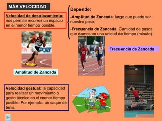 MÁS VELOCIDAD Velocidad de desplazamiento:  nos permite recorrer un espacio en el menor tiempo posible.  Depende: -Amplitud de Zancada : largo que puede ser nuestro paso. - Frecuencia de Zancada : Cantidad de pasos que damos en una unidad de tiempo (minuto) Velocidad gestual :  la capacidad para realizar un movimiento o gesto técnico en el menor tiempo posible. Por ejemplo: un saque de tenis. Amplitud de Zancada Frecuencia de Zancada 