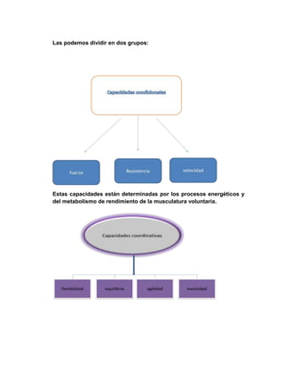 Las podemos dividir en dos grupos:
Estas capacidades están determinadas por los procesos energéticos y
del metabolismo de rendimiento de la musculatura voluntaria.
 