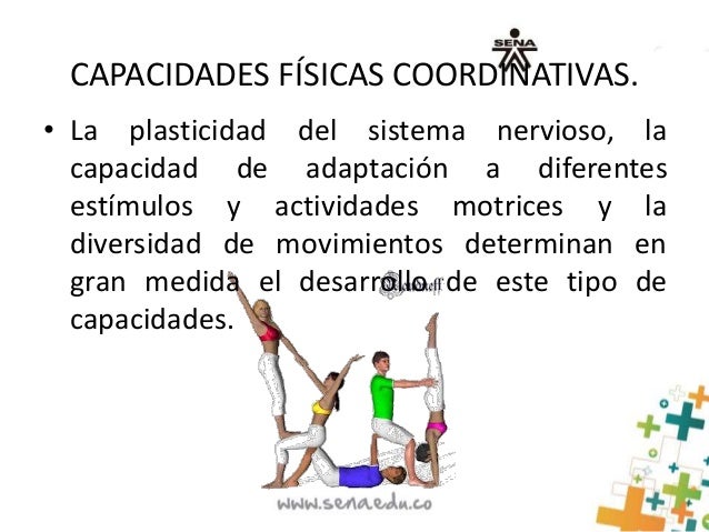 Capacidades fisicas