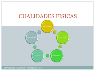 DIDACTICA DE EDUCACION FISICA PRIMER CICLO
CUALIDADES FISICAS
 