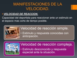 MANIFESTACIONES DE LA
VELOCIDAD.
VELOCIDAD DE REACCION.
Capacidad del deportista para reaccionar ante un estimulo en
el espacio mas corto de tiempo posible.
Velocidad de reacción simple.
• Estimulo y respuesta conocidas con
anticipación.
Velocidad de reacción compleja.
• Estimulo desconocido y respuesta
especial ante la situación.
 