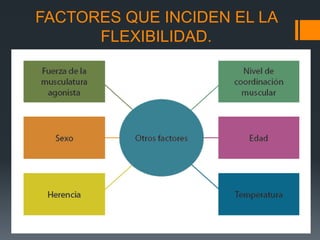 FACTORES QUE INCIDEN EL LA
FLEXIBILIDAD.
 