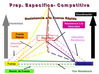 Coordinación


 Flexibilidad                  Resistencia a la
                                 Velocidad


         Fuerza
         Rápida      Rapidez        Velocidad-
                                    Resistencia
  Velocidad-
  Fuerza




Fuerza                                   Resistencia


 Resist. de Fuerza                   Fza- Resistencia
 