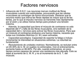 Factores nerviosos
•   Influencia del S.N.C. Las neuronas inervan multitud de fibras
    musculares cuando son estimuladas, provocando que las células
    musculares se contraigan de forma sincronizada. Destacar que la
    neurona motriz que inerva las fibras rápidas es mayor que la de las
    lentas, por lo que el impulso nervioso se transmite más rápidamente
    por el axón y se utiliza menos tiempo para producir una tensión
    máxima.
•      Además, la capacidad que tiene el músculo de contraerse no solo
    depende del nº y talla de las fibras musculares, sino también de la
    capacidad del s. nervioso para activar las fibras musculares. Para que
    un músculo al contraerse produzca una fuerza máxima, necesita que
    todas sus Unidades Motrices (U. M.) sean activadas.
•      Capacidad psicológica. Capacidad de soportar la fatiga e incluso
    incrementar la intensidad en situaciones extremas. La voluntad es
    fundamental.
•      Reclutamiento de unidades motrices. Normalmente, se reclutan entre
    un 20-30% de U. M. en sujetos no entrenados. Con el entrenamiento,
    aumenta hasta un 80-90%. Por ello, cuando entrenamos, en poco
    tiempo somos capaces de vencer una resistencia más elevada. Esto se
    debe al aumento de U. M. R. y no al incremento de la S. T. del
    músculo.
 