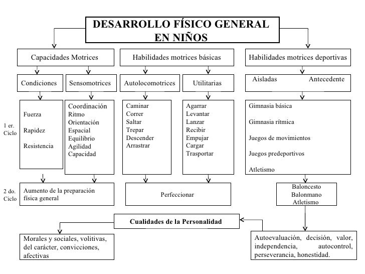 Capacidades físicas