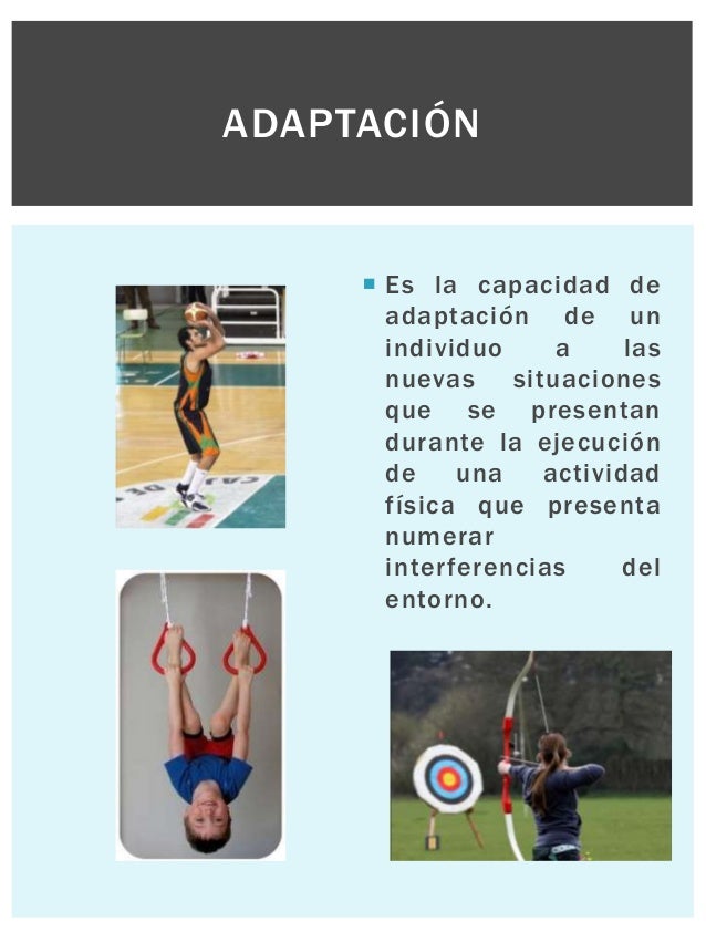 Capacidades físicas
