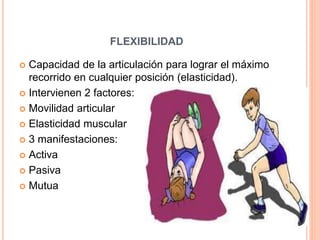 FLEXIBILIDAD
 Capacidad de la articulación para lograr el máximo
recorrido en cualquier posición (elasticidad).
 Intervienen 2 factores:
 Movilidad articular
 Elasticidad muscular
 3 manifestaciones:
 Activa
 Pasiva
 Mutua
 