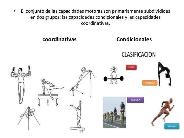 Capacidades motoras