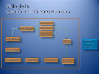 Análisis de Puestos Reclutamiento Selección Contratación Asignación Desarrollo Capacitación Plan Carrera Evaluación Desempeño Cese Planificación  Compensaciones Cultura Organiz. Ciclo de la  Gestión del Talento Humano Inducción 
