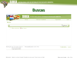 Buscas 