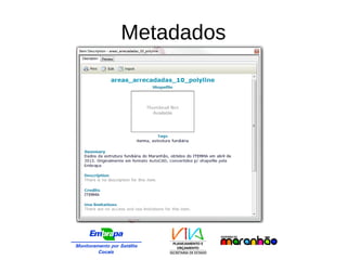 Metadados
 