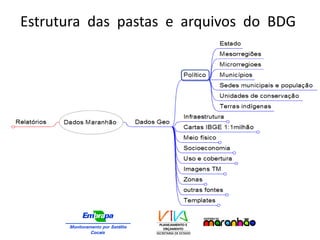 Estrutura das pastas e arquivos do BDG
- MacroZEEMA
 