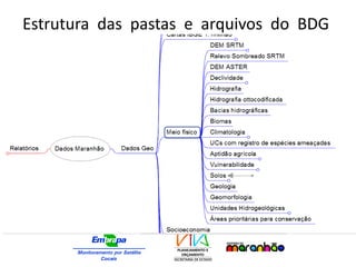 Estrutura das pastas e arquivos do BDG
- MacroZEEMA
 