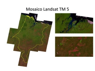 Mosaico Landsat TM 5
 