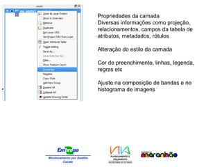 Propriedades da camada
Diversas informações como projeção,
relacionamentos, campos da tabela de
atributos, metadados, rótulos
Alteração do estilo da camada
Cor de preenchimento, linhas, legenda,
regras etc
Ajuste na composição de bandas e no
histograma de imagens
 