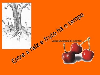 Entre a raiz e fruto há o tempo Carlos Drummond de Andrade 