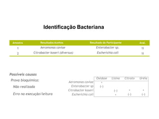 Prova bioquímica:
Não realizada
Erro na execução/leitura
Possíveis causas
Amostra
1
2
Aval.
1I
1I
Resultados Aceitos
Aeromonas caviae
Citrobacter koseri (diversus)
Resultado do Participante
Enterobacter sp.
Escherichia coli
Identificação Bacteriana
Aeromonas caviae
Enterobacter sp
Citrobacter koseri
Escherichia coli
Oxidase Lisina Citrato Uréia
+
(-)
(-) + +
+ (-) (-)
 