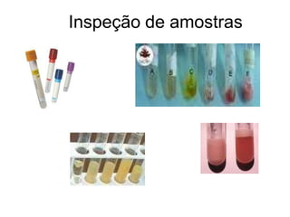 Inspeção de amostras
 