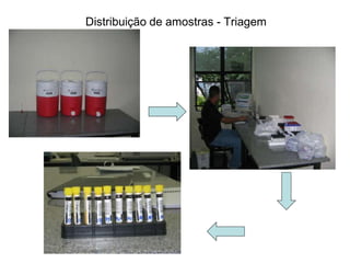 Distribuição de amostras - Triagem
 