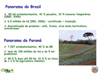 Panorama do Brasil
✔ 90 mil estabelecimentos, 42 % pecuária, 33 % lavouras temporárias
(IBGE, 2006)
✔ 6,5 milhões de há (IBD, 2006) – certificada + transição
✔ diversificação de produtos- café, frutas, erva-mate,horticultura,
extrativismo
Panorama do Paraná
✔ 7.527 estabelecimentos, 40 % do BR
✔ mais de 100 milhões de ton e de 5 mil
produtores
✔ 90,5 % área até 50 há, 41,5 % na faixa
de 1 a 5 há (agricultura familiar)
 