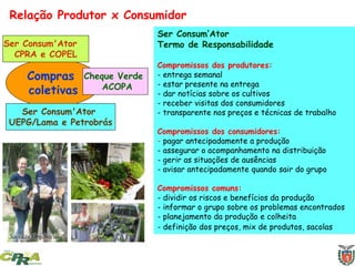 Compras
coletivas
Ser Consum'Ator
CPRA e COPEL
Ser Consum'Ator
UEPG/Lama e Petrobrás
Cheque Verde
ACOPA
Relação Produtor x Consumidor
Ser Consum’Ator
Termo de Responsabilidade
Compromissos dos produtores:
- entrega semanal
- estar presente na entrega
- dar notícias sobre os cultivos
- receber visitas dos consumidores
- transparente nos preços e técnicas de trabalho
Compromissos dos consumidores:
- pagar antecipadamente a produção
- assegurar o acompanhamento na distribuição
- gerir as situações de ausências
- avisar antecipadamente quando sair do grupo
Compromissos comuns:
- dividir os riscos e benefícios da produção
- informar o grupo sobre os problemas encontrados
- planejamento da produção e colheita
- definição dos preços, mix de produtos, sacolas
 