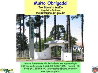 Centro Paranaense de Referência em Agroecologia
Estrada da Graciosa, 6.960 CEP 83327-055 – Pinhais – PR
Fone: (41) 3544-8100 | agroecologia@cpra.pr.gov.br
www.cpra.pr.gov.br
Muito Obrigado!
Ivo Barreto Melão
Engenheiro Agrônomo
melao@cpra.pr.gov.br
 