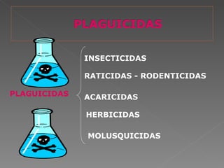 INSECTICIDAS

              RATICIDAS - RODENTICIDAS

PLAGUICIDAS   ACARICIDAS

              HERBICIDAS

              MOLUSQUICIDAS
 