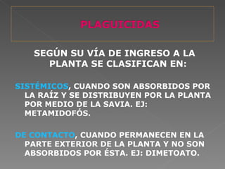SEGÚN SU VÍA DE INGRESO A LA
     PLANTA SE CLASIFICAN EN:

SISTÉMICOS, CUANDO SON ABSORBIDOS POR
  LA RAÍZ Y SE DISTRIBUYEN POR LA PLANTA
  POR MEDIO DE LA SAVIA. EJ:
  METAMIDOFÓS.

DE CONTACTO, CUANDO PERMANECEN EN LA
  PARTE EXTERIOR DE LA PLANTA Y NO SON
  ABSORBIDOS POR ÉSTA. EJ: DIMETOATO.
 