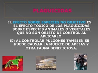 EL EFECTO SOBRE ESPECIES NO OBJETIVO ES
   EL EFECTO TÓXICO DE LOS PLAGUICIDAS
   SOBRE ESPECIES ANIMALES O VEGETALES
     QUE NO SON OBJETO DE CONTROL AL
                 APLICARLO.
 EJ: AL CONTROLAR PULGONES TAMBIÉN SE
    PUEDE CAUSAR LA MUERTE DE ABEJAS Y
          OTRA FAUNA BENEFICIOSA.
 