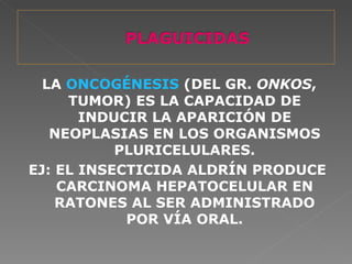 LA ONCOGÉNESIS (DEL GR. ONKOS,
     TUMOR) ES LA CAPACIDAD DE
       INDUCIR LA APARICIÓN DE
   NEOPLASIAS EN LOS ORGANISMOS
           PLURICELULARES.
EJ: EL INSECTICIDA ALDRÍN PRODUCE
    CARCINOMA HEPATOCELULAR EN
    RATONES AL SER ADMINISTRADO
            POR VÍA ORAL.
 