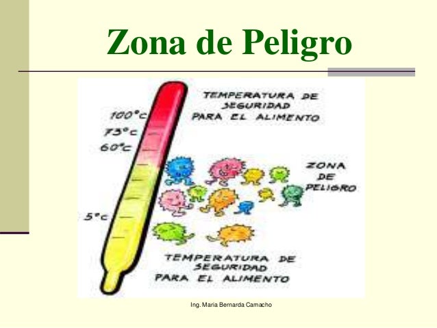 Los Microorganismos