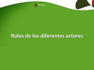 Roles de los diferentes actores
 