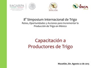 Capacitación a
Productores de Trigo
Mazatlán, Sin. Agosto 22 de 2013
8° Simposium Internacional de Trigo
Retos, Oportunidades y Acciones para Incrementar la
Producción de Trigo en México
 