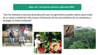 ¿Que son las buenas prácticas agrícolas BPA?
“Son los métodos o técnicas de producción que los agricultores pueden aplicar para cuidar
de su salud y calidad de vida, buscar el bienestar de los consumidores de sus productos y
proteger al medio ambiente”
 
