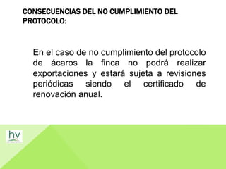 CONSECUENCIAS DEL NO CUMPLIMIENTO DEL
PROTOCOLO:
En el caso de no cumplimiento del protocolo
de ácaros la finca no podrá realizar
exportaciones y estará sujeta a revisiones
periódicas siendo el certificado de
renovación anual.
 