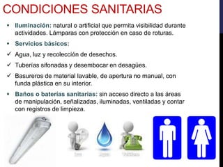  Iluminación: natural o artificial que permita visibilidad durante
actividades. Lámparas con protección en caso de roturas.
 Servicios básicos:
 Agua, luz y recolección de desechos.
 Tuberías sifonadas y desembocar en desagües.
 Basureros de material lavable, de apertura no manual, con
funda plástica en su interior.
 Baños o baterías sanitarias: sin acceso directo a las áreas
de manipulación, señalizadas, iluminadas, ventiladas y contar
con registros de limpieza.
CONDICIONES SANITARIAS
 