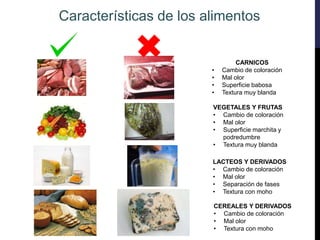 CARNICOS
• Cambio de coloración
• Mal olor
• Superficie babosa
• Textura muy blanda
Características de los alimentos
VEGETALES Y FRUTAS
• Cambio de coloración
• Mal olor
• Superficie marchita y
podredumbre
• Textura muy blanda
LACTEOS Y DERIVADOS
• Cambio de coloración
• Mal olor
• Separación de fases
• Textura con moho
CEREALES Y DERIVADOS
• Cambio de coloración
• Mal olor
• Textura con moho
 