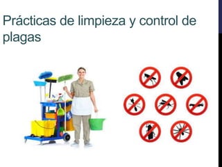 Prácticas de limpieza y control de
plagas
 