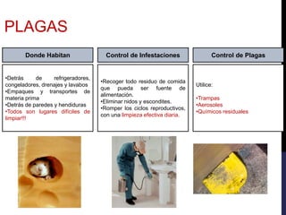 •Detrás de refrigeradores,
congeladores, drenajes y lavabos
•Empaques y transportes de
materia prima
•Detrás de paredes y hendiduras
•Todos son lugares difíciles de
limpiar!!!
Donde Habitan
•Recoger todo residuo de comida
que pueda ser fuente de
alimentación.
•Eliminar nidos y escondites.
•Romper los ciclos reproductivos,
con una limpieza efectiva diaria.
Control de Infestaciones
Utilice:
•Trampas
•Aerosoles
•Químicos residuales
Control de Plagas
PLAGAS
 