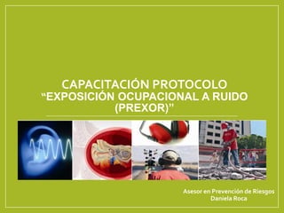 CAPACITACIÓN PROTOCOLO
“EXPOSICIÓN OCUPACIONAL A RUIDO
(PREXOR)”
Asesor en Prevención de Riesgos
Daniela Roca
 