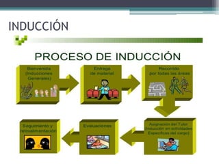 INDUCCIÓN
 