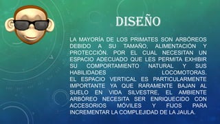 DISEÑO
LA MAYORÍA DE LOS PRIMATES SON ARBÓREOS
DEBIDO A SU TAMAÑO, ALIMENTACIÓN Y
PROTECCIÓN. POR EL CUAL NECESITAN UN
ESPACIO ADECUADO QUE LES PERMITA EXHIBIR
SU COMPORTAMIENTO NATURAL Y SUS
HABILIDADES LOCOMOTORAS.
EL ESPACIO VERTICAL ES PARTICULARMENTE
IMPORTANTE YA QUE RARAMENTE BAJAN AL
SUELO EN VIDA SILVESTRE, EL AMBIENTE
ARBÓREO NECESITA SER ENRIQUECIDO CON
ACCESORIOS MÓVILES Y FIJOS PARA
INCREMENTAR LA COMPLEJIDAD DE LA JAULA.
 