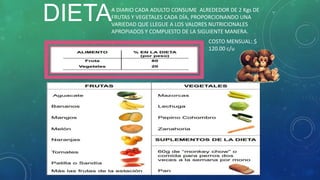 DIETAA DIARIO CADA ADULTO CONSUME ALREDEDOR DE 2 Kgs DE
FRUTAS Y VEGETALES CADA DÍA, PROPORCIONANDO UNA
VARIEDAD QUE LLEGUE A LOS VALORES NUTRICIONALES
APROPIADOS Y COMPUESTO DE LA SIGUIENTE MANERA.
COSTO MENSUAL: $
120.00 c/u
 
