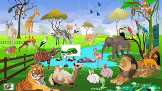 FELINOS
PRIMATES
AVES
REPTILES
 