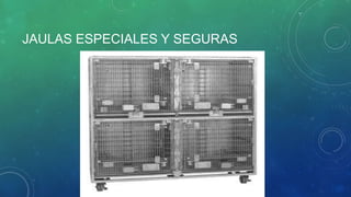 JAULAS ESPECIALES Y SEGURAS
i
 