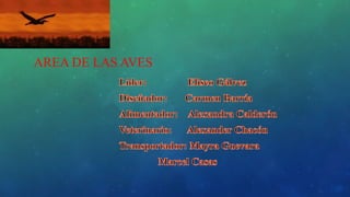 AREA DE LAS AVES
 